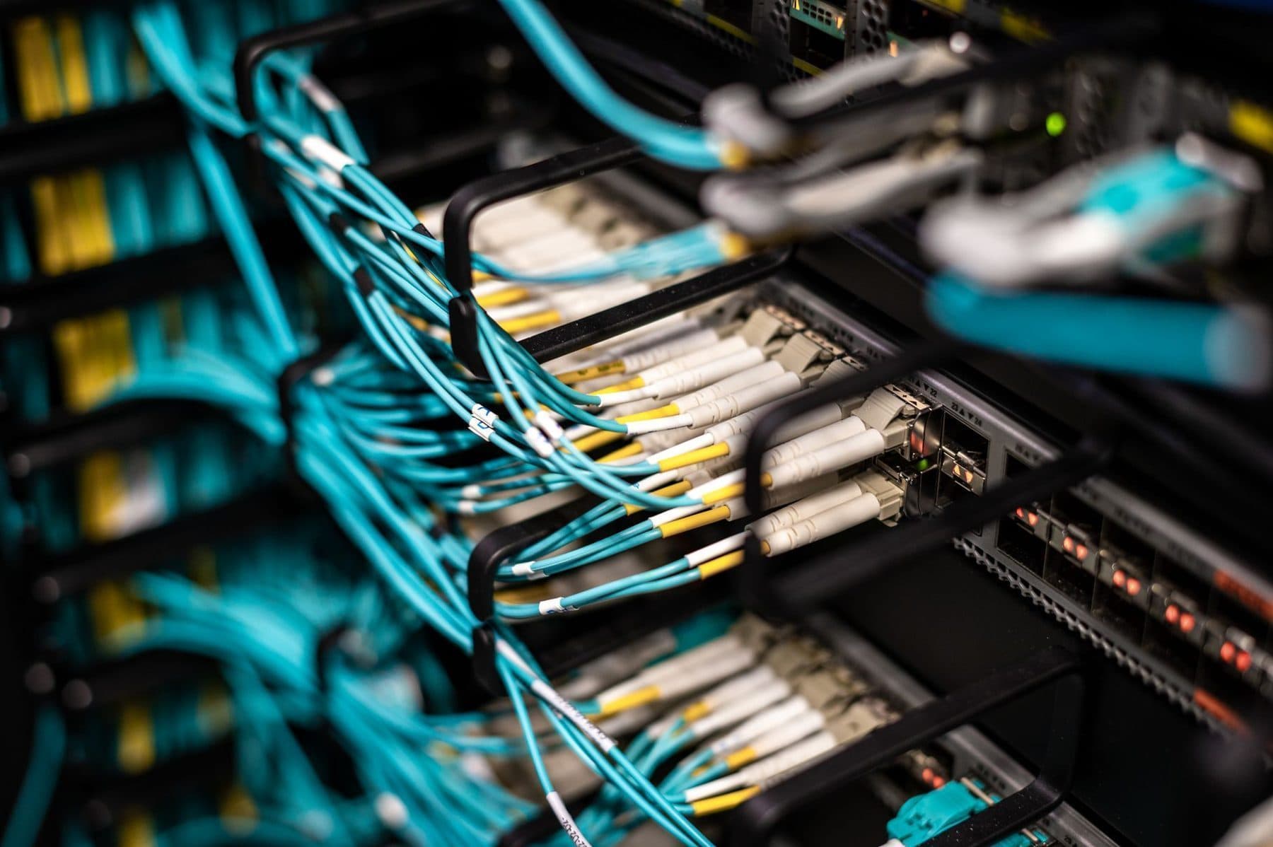 Cables terminated into a patch panel in a network rack, each port labelled